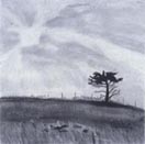 His Cedar Tree by Anne Gagel