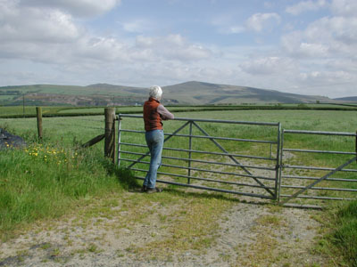 looking at the site
