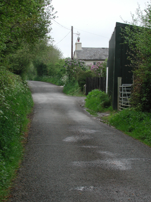 Cottage near Holsworthy