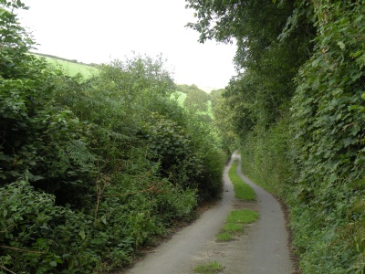 Looking back up Buttercombe lane