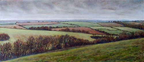 Looking towards the Taw Estuary, from Pippacott