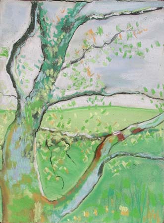 Tree Sketch by Ros Daly